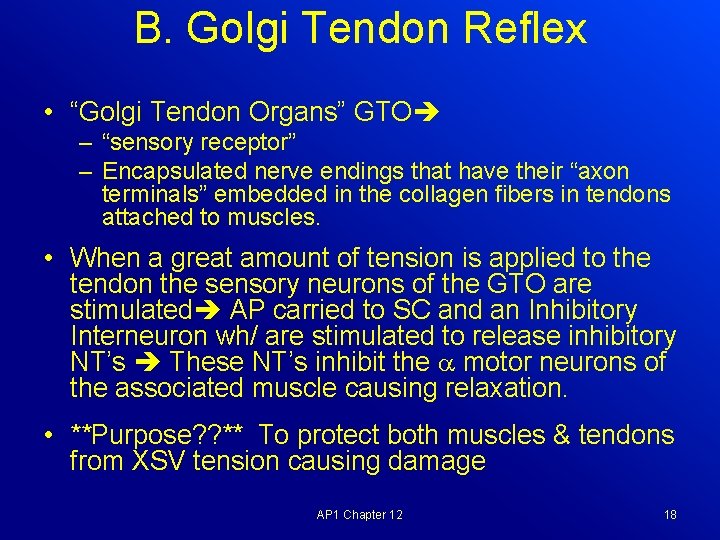 B. Golgi Tendon Reflex • “Golgi Tendon Organs” GTO – “sensory receptor” – Encapsulated