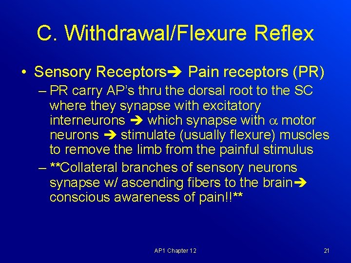 C. Withdrawal/Flexure Reflex • Sensory Receptors Pain receptors (PR) – PR carry AP’s thru