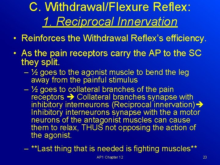 C. Withdrawal/Flexure Reflex: 1. Reciprocal Innervation • Reinforces the Withdrawal Reflex’s efficiency. • As