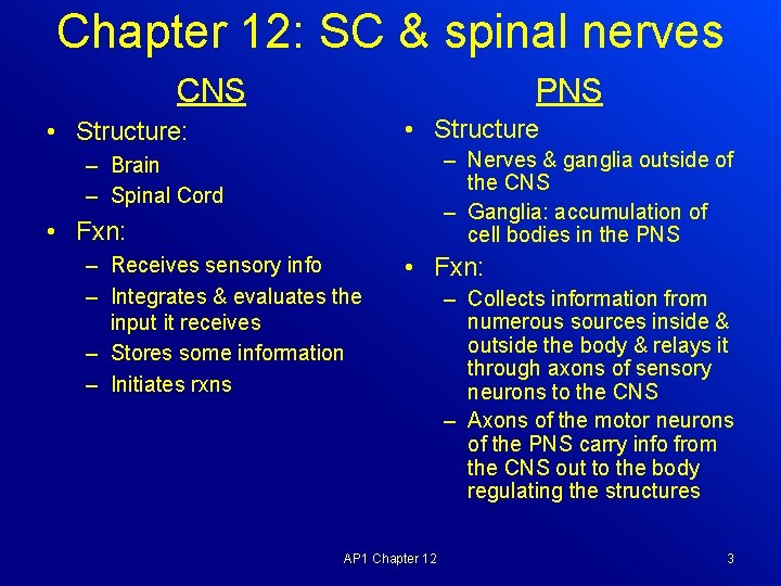 Chapter 12: SC & spinal nerves CNS PNS • Structure: – Nerves & ganglia