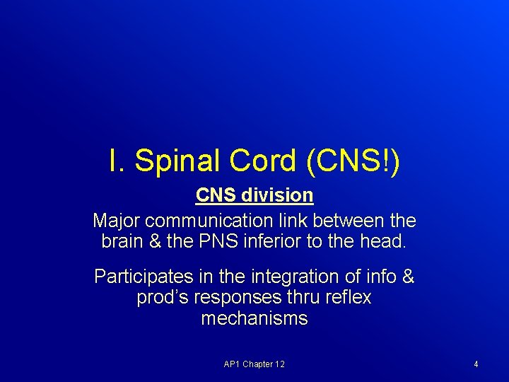 I. Spinal Cord (CNS!) CNS division Major communication link between the brain & the