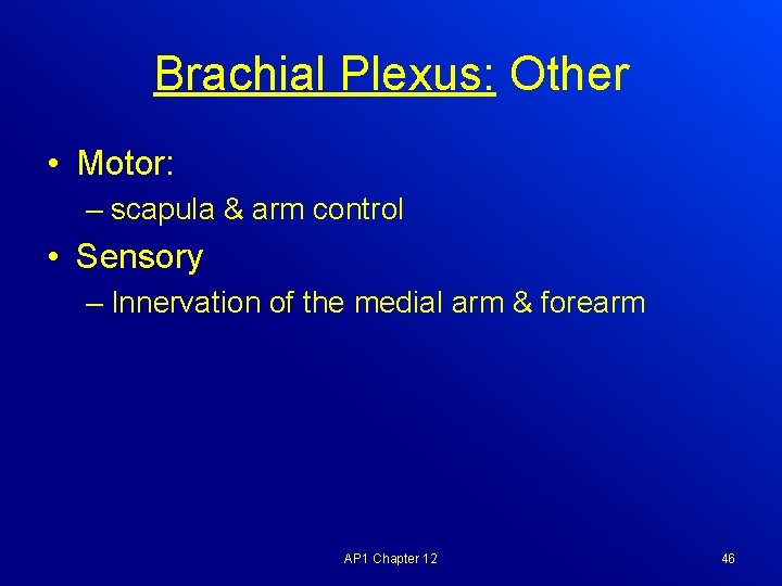 Brachial Plexus: Other • Motor: – scapula & arm control • Sensory – Innervation