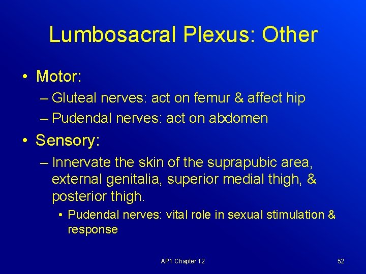 Lumbosacral Plexus: Other • Motor: – Gluteal nerves: act on femur & affect hip