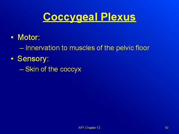 Coccygeal Plexus • Motor: – Innervation to muscles of the pelvic floor • Sensory: