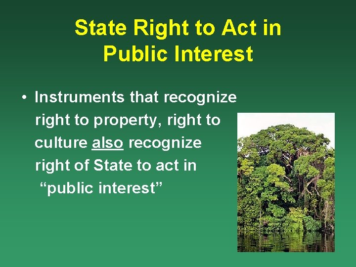 State Right to Act in Public Interest • Instruments that recognize right to property,