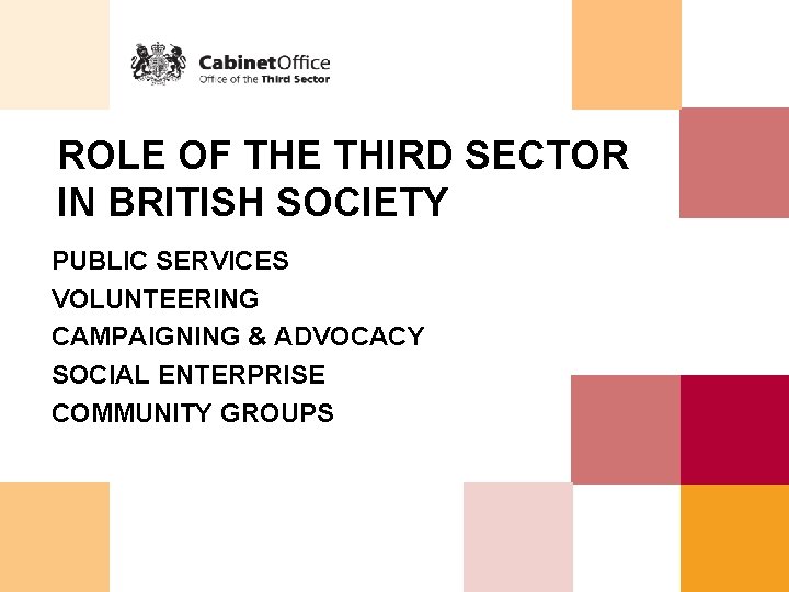 ROLE OF THE THIRD SECTOR IN BRITISH SOCIETY PUBLIC SERVICES VOLUNTEERING CAMPAIGNING & ADVOCACY