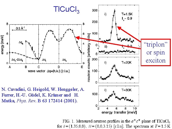 Tl. Cu. Cl 3 “triplon” or spin exciton N. Cavadini, G. Heigold, W. Henggeler,