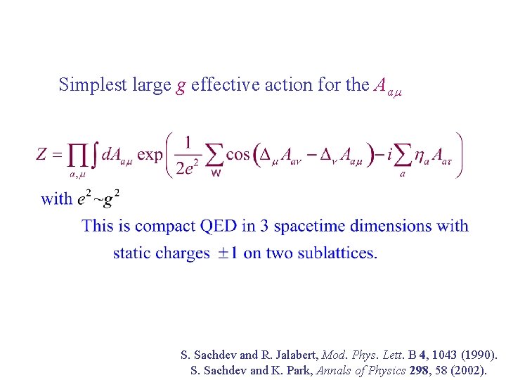 Simplest large g effective action for the Aam S. Sachdev and R. Jalabert, Mod.