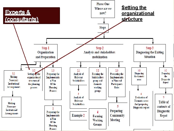 Experts & (consultants) Setting the organizational structure 