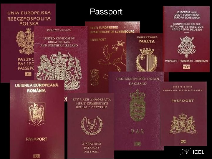 Passport ICEL 