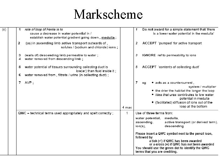 Markscheme 