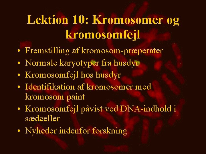 Lektion 10: Kromosomer og kromosomfejl • • Fremstilling af kromosom-præperater Normale karyotyper fra husdyr