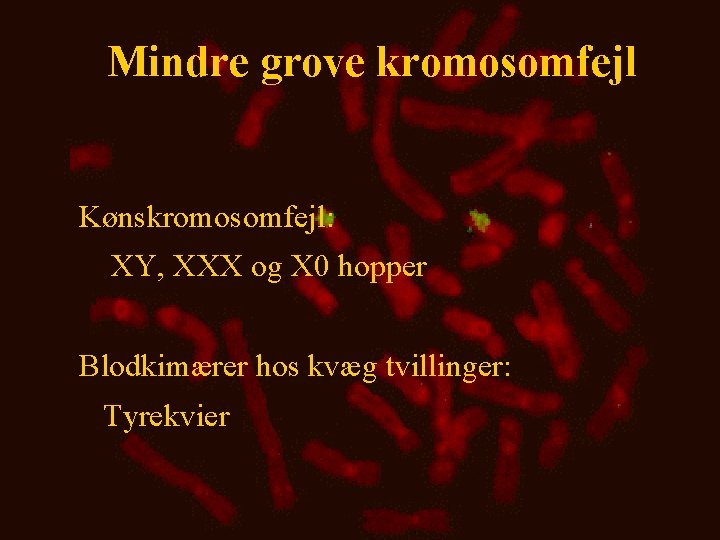 Mindre grove kromosomfejl Kønskromosomfejl: XY, XXX og X 0 hopper Blodkimærer hos kvæg tvillinger: