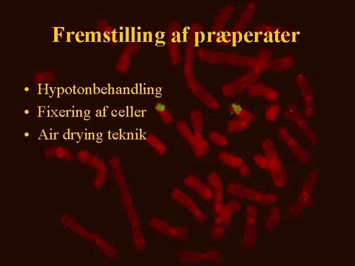 Fremstilling af præperater • Hypotonbehandling • Fixering af celler • Air drying teknik 