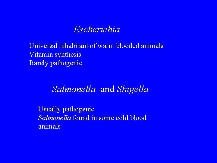 Escherichia Universal inhabitant of warm blooded animals Vitamin synthesis Rarely pathogenic Salmonella and Shigella