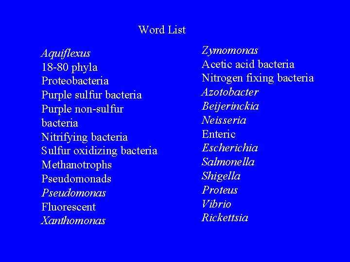 Word List Aquiflexus 18 -80 phyla Proteobacteria Purple sulfur bacteria Purple non-sulfur bacteria Nitrifying