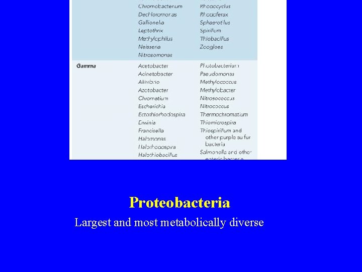 Proteobacteria Largest and most metabolically diverse 