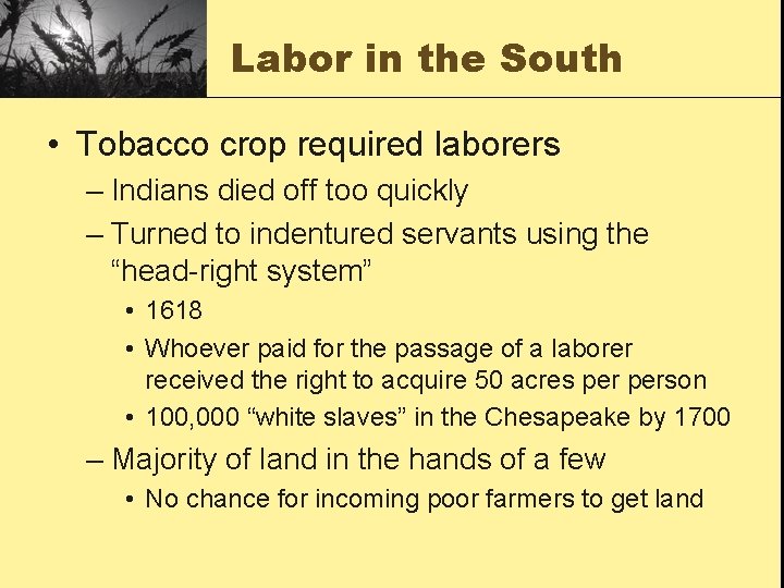 Labor in the South • Tobacco crop required laborers – Indians died off too