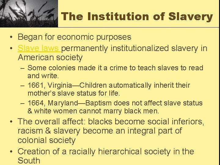 The Institution of Slavery • Began for economic purposes • Slave laws permanently institutionalized