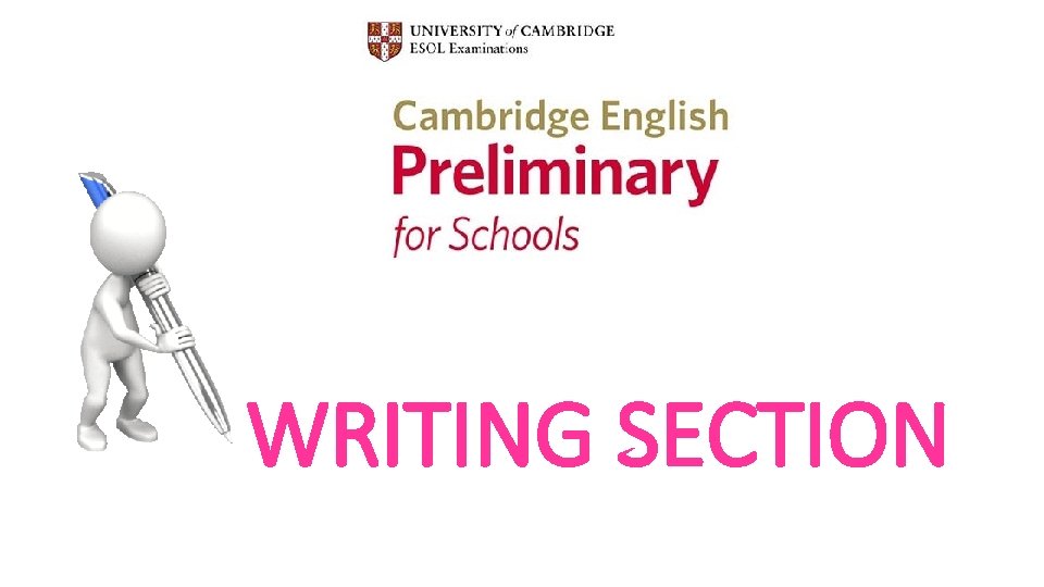 WRITING SECTION 