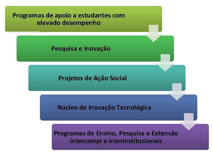 Programas de apoio a estudantes com elevado desempenho Pesquisa e Inovação Projetos de Ação