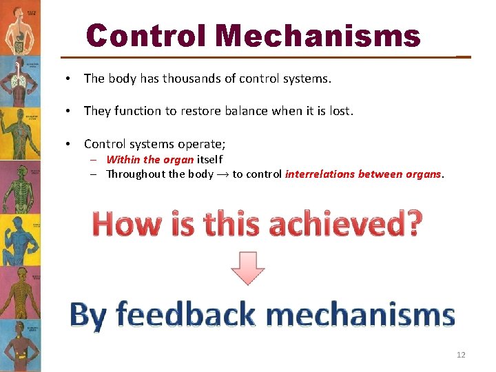 Control Mechanisms • The body has thousands of control systems. • They function to Control Mechanisms • The body has thousands of control systems. • They function to