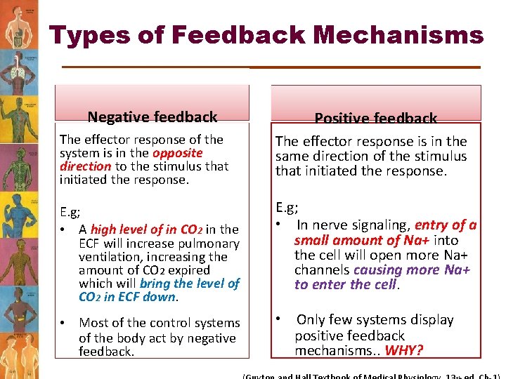 Types of Feedback Mechanisms Negative feedback Positive feedback The effector response of the system