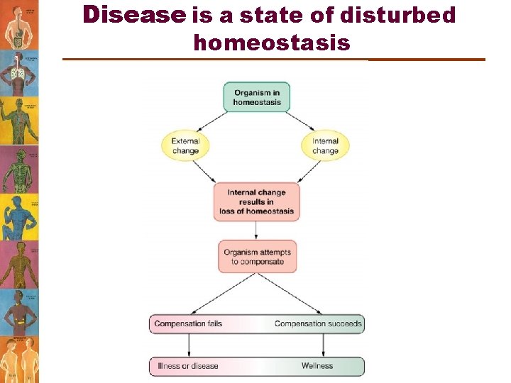 Disease is a state of disturbed homeostasis 