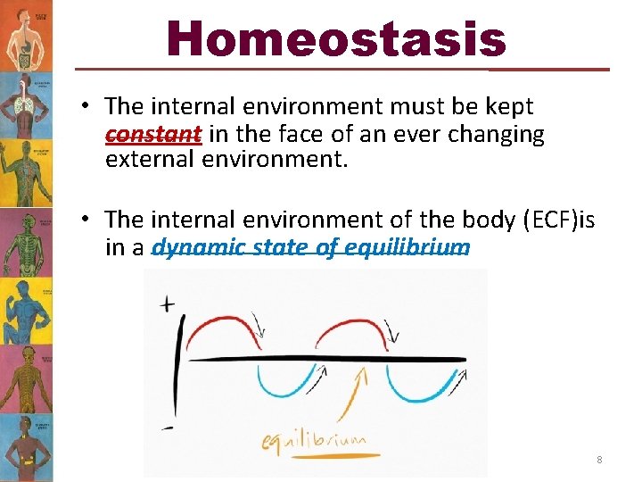 Homeostasis • The internal environment must be kept constant in the face of an Homeostasis • The internal environment must be kept constant in the face of an