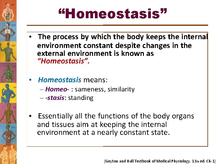 “Homeostasis” • The process by which the body keeps the internal environment constant despite