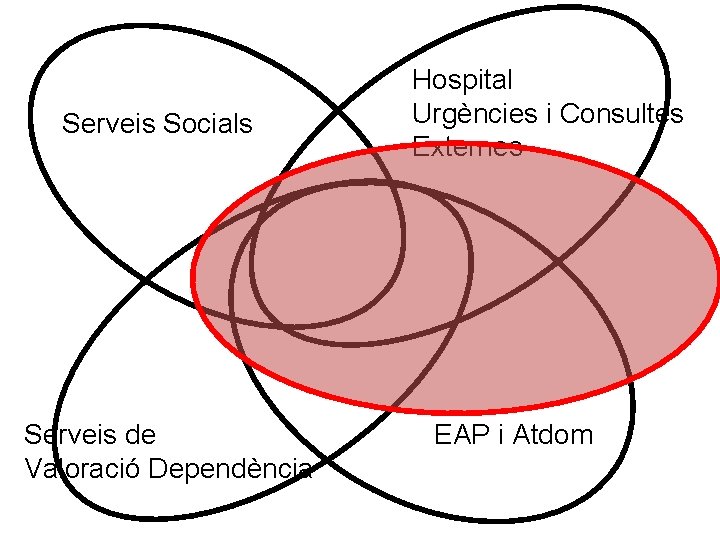 Serveis Socials Serveis de Valoració Dependència Hospital Urgències i Consultes Externes EAP i Atdom