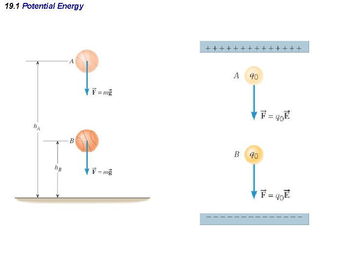 19. 1 Potential Energy 19. 1 Potential Energy