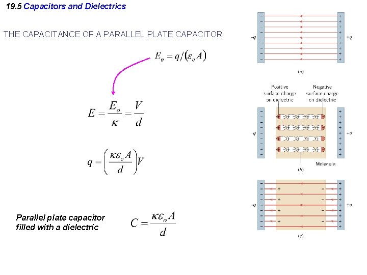 19. 5 Capacitors and Dielectrics THE CAPACITANCE OF A PARALLEL PLATE CAPACITOR Parallel plate 19. 5 Capacitors and Dielectrics THE CAPACITANCE OF A PARALLEL PLATE CAPACITOR Parallel plate