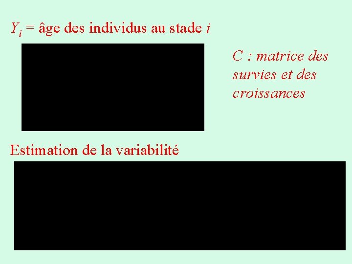 Yi = âge des individus au stade i C : matrice des survies et