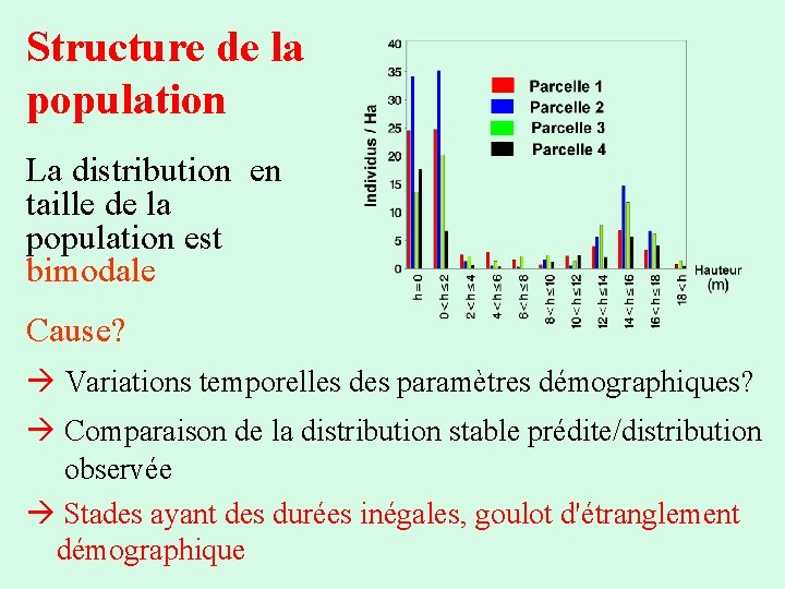 Structure de la population La distribution en taille de la population est bimodale Cause?