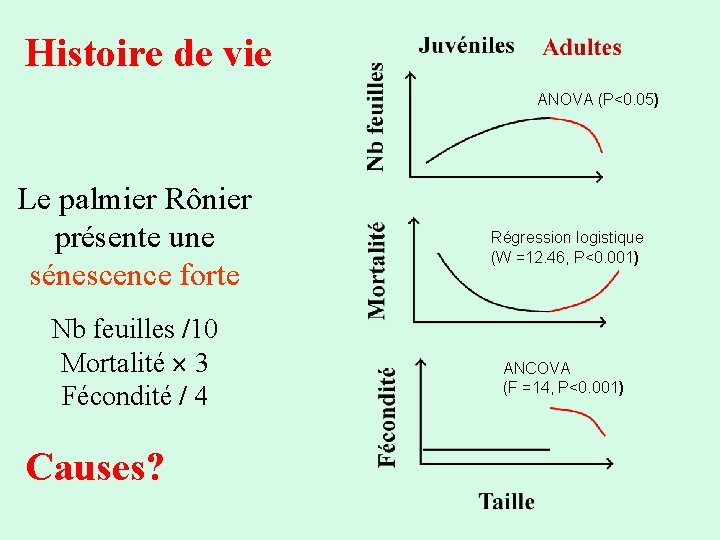 Histoire de vie ANOVA (P<0. 05) Le palmier Rônier présente une sénescence forte Nb