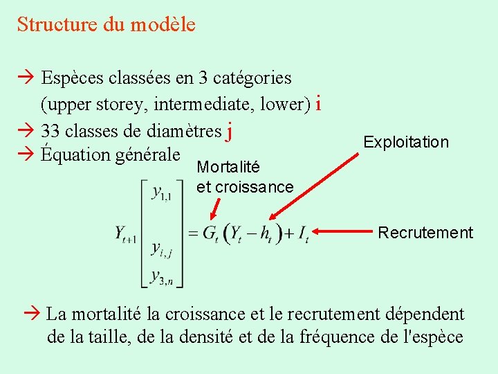 Structure du modèle Espèces classées en 3 catégories (upper storey, intermediate, lower) i 33