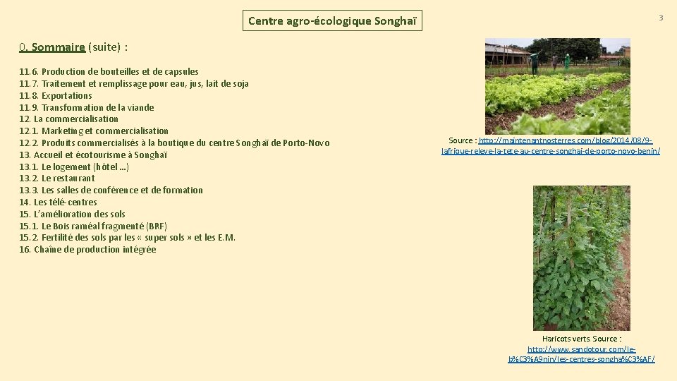 3 Centre agro-écologique Songhaï 0. Sommaire (suite) : 11. 6. Production de bouteilles et