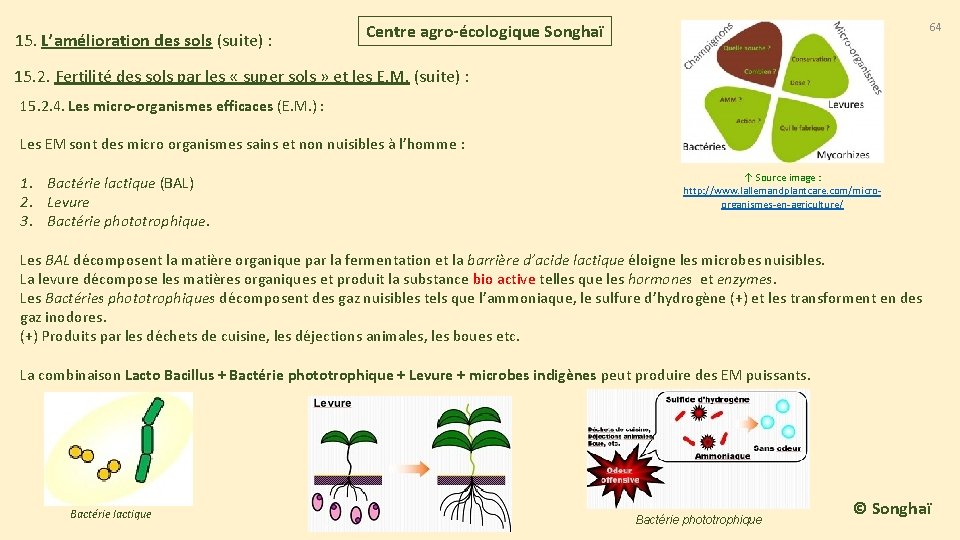 15. L’amélioration des sols (suite) : Centre agro-écologique Songhaï 64 15. 2. Fertilité des