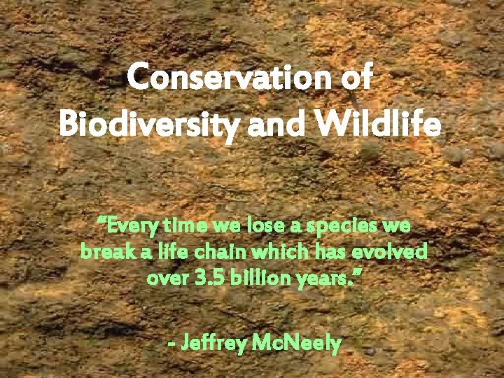 Conservation of Biodiversity and Wildlife “Every time we lose a species we break a