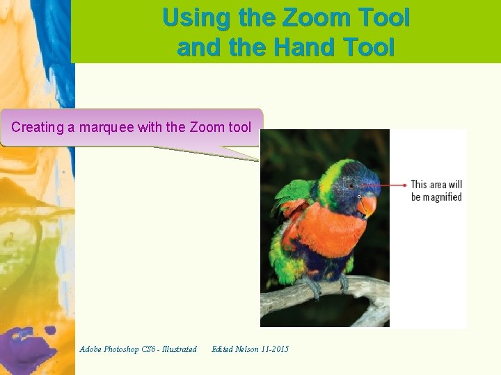 Using the Zoom Tool and the Hand Tool Creating a marquee with the Zoom