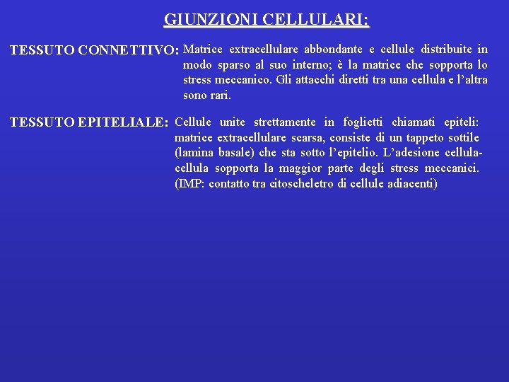 GIUNZIONI CELLULARI: TESSUTO CONNETTIVO: Matrice extracellulare abbondante e cellule distribuite in modo sparso al