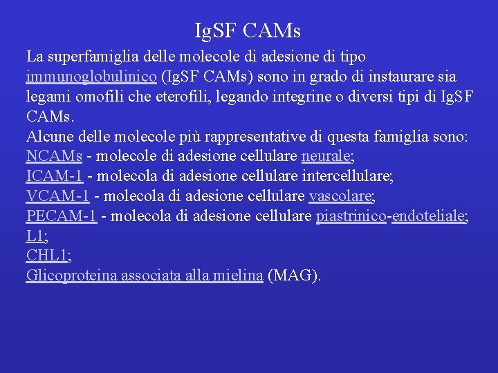Ig. SF CAMs La superfamiglia delle molecole di adesione di tipo immunoglobulinico (Ig. SF