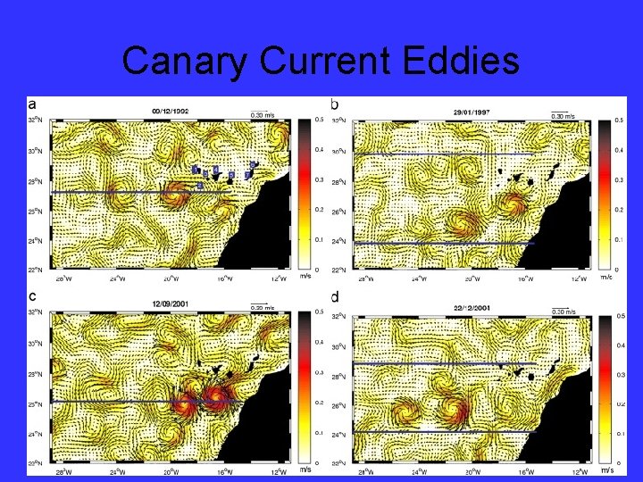 Canary Current Eddies 