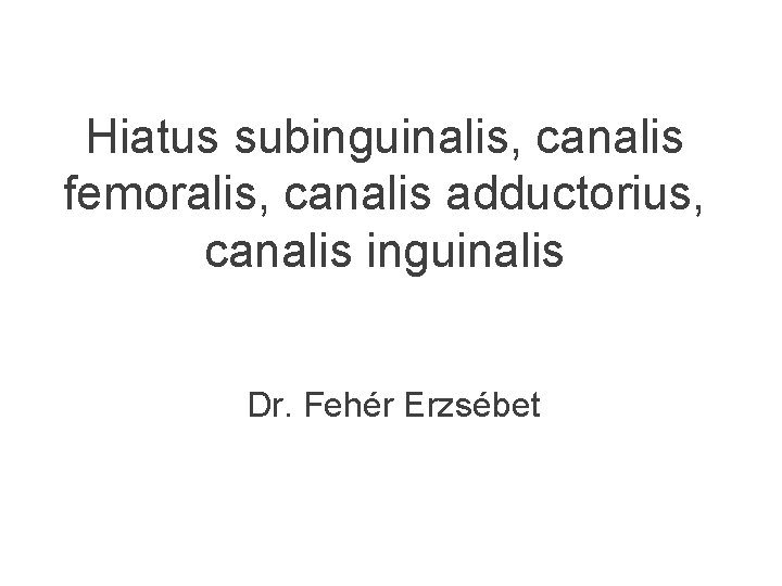 Hiatus subinguinalis, canalis femoralis, canalis adductorius, canalis inguinalis Dr. Fehér Erzsébet 