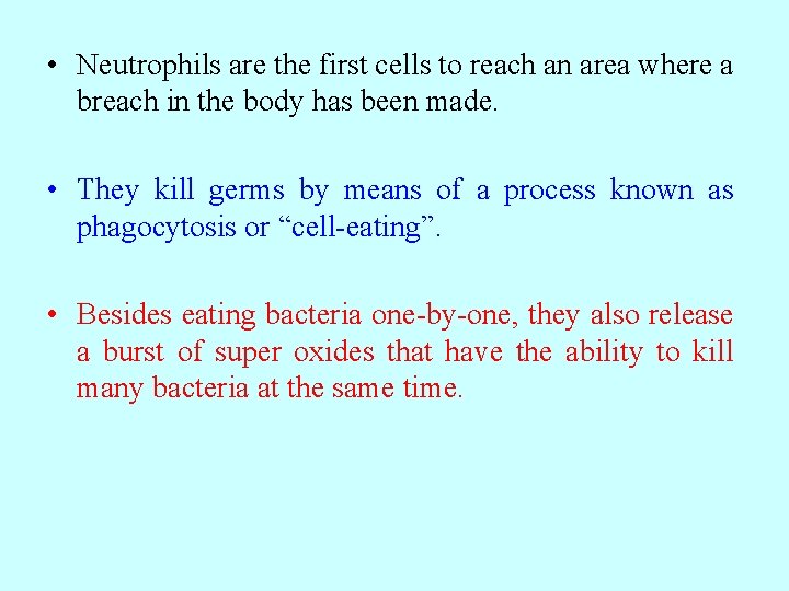  • Neutrophils are the first cells to reach an area where a breach