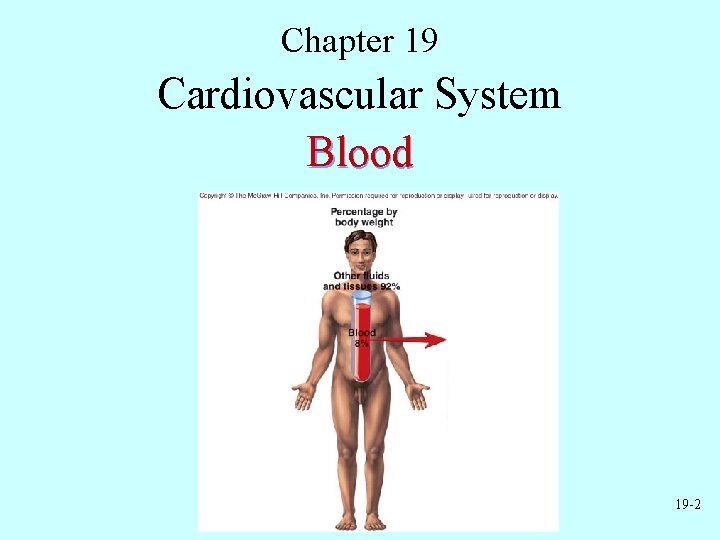 Chapter 19 Cardiovascular System Blood 19 -2 