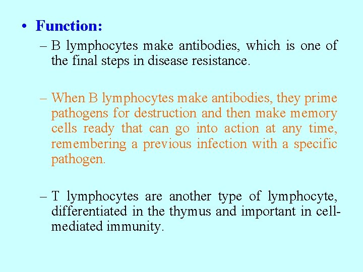  • Function: – B lymphocytes make antibodies, which is one of the final