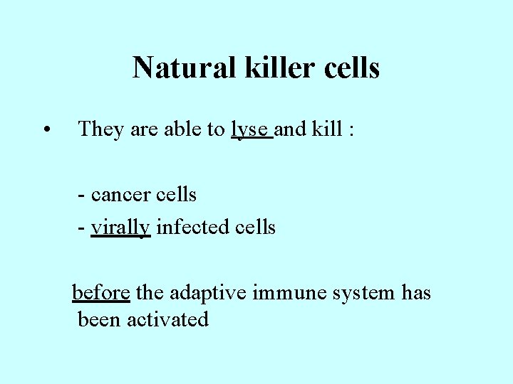 Natural killer cells • They are able to lyse and kill : - cancer