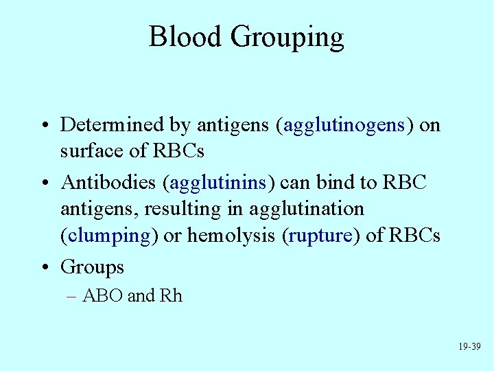 Blood Grouping • Determined by antigens (agglutinogens) on surface of RBCs • Antibodies (agglutinins)